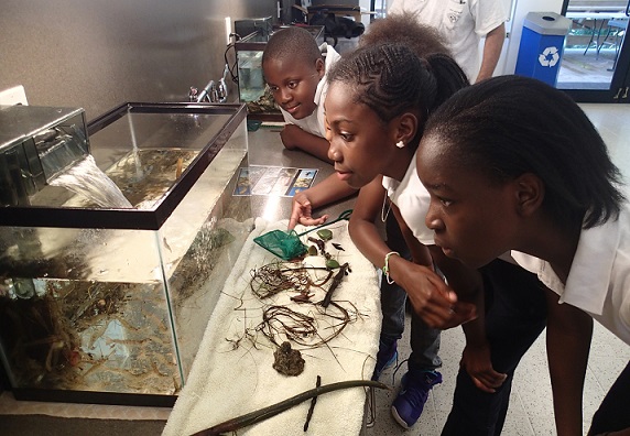 Photo 3 from Friends of MacArthur Beach State Park, Inc.